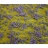 Faller Modélisme accessoires de décor - Végétation - Segments de paysage Premium : Prairie fleurie viole