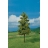 Faller Modélisme accessoires de décor H0 - Végétation - Arbres premium : 2 mélèzes