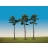 Faller Modélisme accessoires de décor H0 - Végétation - Arbres série super : 3 pins sylvestres
