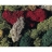 Faller Modélisme accessoires de décor H0 - Végétation : Lichen 5 couleurs