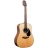 G Series Dreadnought - EG320SC