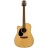 G Series Dreadnought - EG340CLH