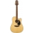 G Series Dreadnought - EG345C