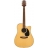 G Series Dreadnought - EG360SC