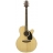 G Series NEX - EG440SC