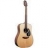 G320 Dreadnought Natural Gloss Spruce