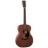 Guitare Acoustique 000-15M