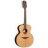 Guitare Acoustique 12 Cordes Jumbo Tramontane T400J12