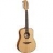 Guitare Acoustique 12 Cordes Tramontane T66D12