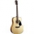 Guitare Acoustique CD100