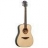 Guitare Acoustique GLA T111D-NT-G TRAMONTANE 111 Dreadnought Natural Top Gloss