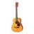 Guitare Acoustique Junior JR1