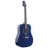 Guitare Acoustique SW 205 TB