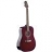 Guitare Acoustique SW 205 TR