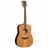 Guitare Acoustique Tramontane T100D Dreadnought