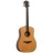 Guitare Acoustique Tramontane T333D G