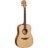 Guitare Acoustique Tramontane T66D