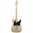 Guitare Electrique AMERICAN STANDARD TELECASTER 011-0502-721