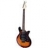 Guitare Electrique Jet J66TOS Tobacco Sunburst