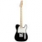 Guitare Electrique Telecaster Standard Black 014-5102-306