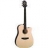 Guitare Electro Acoustique EG363SC