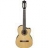 Guitare Electro Acoustique G200ECE-NT