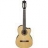 Guitare Electro Acoustique G200ECE-NT