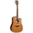 Guitare Electro Acoustique Tramontane T100DCE