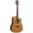 Guitare Electro Acoustique Tramontane T300DCE