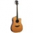 Guitare Electro Acoustique Tramontane T333DCE-G