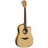 Guitare Electro Acoustique Tramontane T66DCE