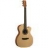 Guitare Electro Acoustique XC1TE Special Edition