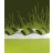 Herbes hautes 3