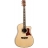 Heritage Super Dreadnought 1000HSRCB