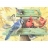 Heye Puzzle 1000 pièces - Oiseaux