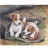 James Hamilton <a title='En savoir plus sur les puzzles' href='http://weezoom.tumblr.com/post/12566332776/puzzle-1000-pieces' style='text-decoration:none; color:#333' target='_blank'><strong>Puzzle</strong></a> 1000 pièces - Jack Russell