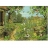 James Hamilton <a title='En savoir plus sur les puzzles' href='http://weezoom.tumblr.com/post/12566332776/puzzle-1000-pieces' style='text-decoration:none; color:#333' target='_blank'><strong>Puzzle</strong></a> 1000 pièces - Jardin sauvage