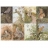 James Hamilton <a title='En savoir plus sur les puzzles' href='http://weezoom.tumblr.com/post/12566332776/puzzle-1000-pieces' style='text-decoration:none; color:#333' target='_blank'><strong>Puzzle</strong></a> 1000 pièces - Les animaux de la forêt