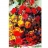 James Hamilton Puzzle 1500 pièces - Collection : Bouquet du soleil