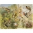 James Hamilton <a title='En savoir plus sur les puzzles' href='http://weezoom.tumblr.com/post/12566332776/puzzle-1000-pieces' style='text-decoration:none; color:#333' target='_blank'><strong>Puzzle</strong></a> 1500 pièces - Les pinsons