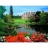 James Hamilton Puzzle 300 pièces - Collection : Château de Sandringham