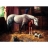 James Hamilton <a title='En savoir plus sur les puzzles' href='http://weezoom.tumblr.com/post/12566332776/puzzle-1000-pieces' style='text-decoration:none; color:#333' target='_blank'><strong>Puzzle</strong></a> 500 pièces - Classic Deluxe : Les présentations