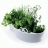Jardin d'herbes aromatiques et ciseaux gris