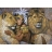 Jumbo Puzzle 1000 pièces - Collection Gold : La fierté