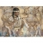 Jumbo Puzzle 1000 pièces - Collection Gold : Le faon