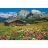 Jumbo <a title='En savoir plus sur les puzzles' href='http://weezoom.tumblr.com/post/12566332776/puzzle-1000-pieces' style='text-decoration:none; color:#333' target='_blank'><strong>Puzzle</strong></a> 1500 pièces - Sud Tyrol, Autriche