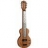 Lap Steel Acajou Naturel RG31-NA