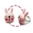 Lapinou