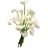 Les<a title='bouquet de fleurs pour la saint-valentin' href='http://www.familyby.com/boutiques/detailCategorie/4211' style='text-decoration:none; color:#333'><strong> fleurs</strong></a> du<a title='composition florale pour la saint-valentin' href='http://www.familyby.com/boutiques/detailCategorie/4211' style='text-decoration:none; color:#333'><strong> fleur</strong></a>iste Bouquet d'arums