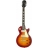 Les Paul Standard Plus-Top